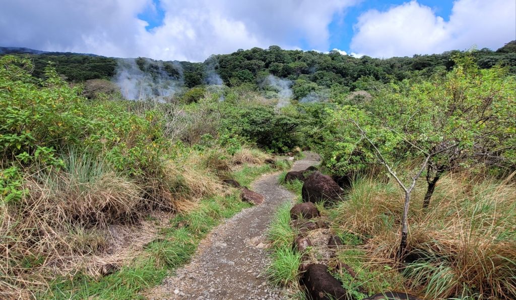 Into A Volcanic&nbsp;Ecosystem